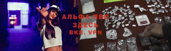СК Козельск