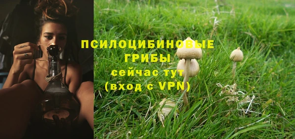 метадон Коряжма
